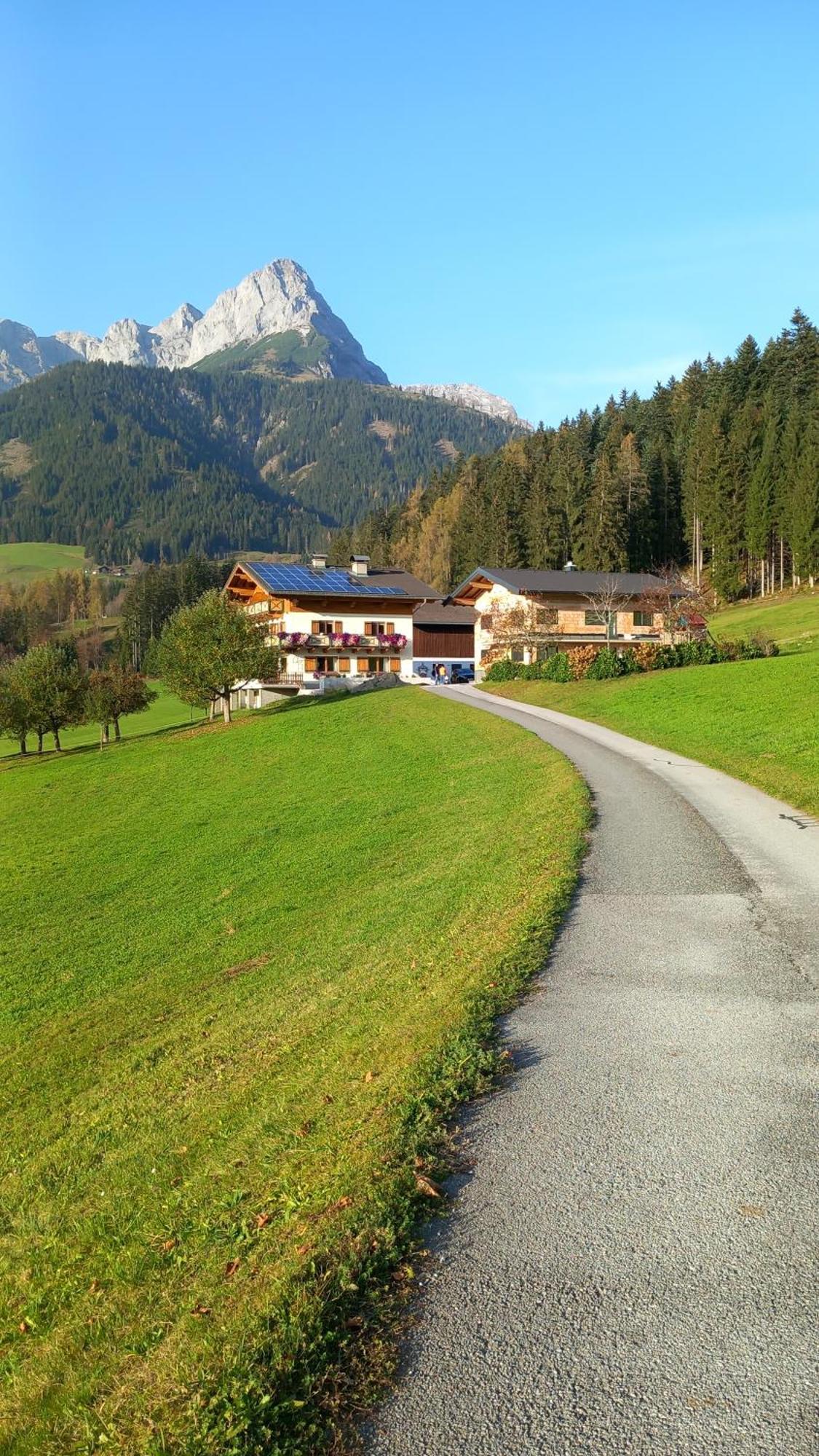 Frische Bergluft Und Laendlicher Charme - Ihr Aktiver Urlaub Am Muehlauhof Мюльбах Экстерьер фото